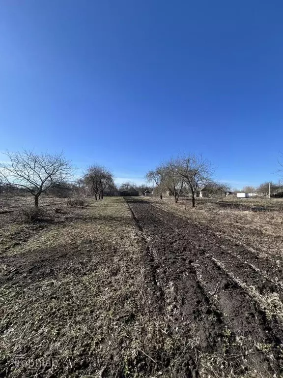 Дом в Брянская область, Брянский район, Мичуринское с/пос, Мичуринец ... - Фото 2