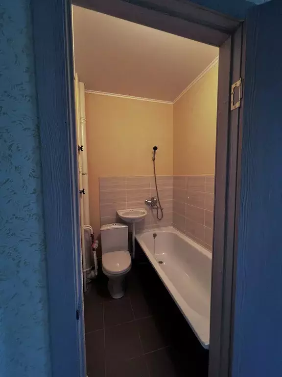 Продаётся 1-к квартира, 25.2 м - Фото 1