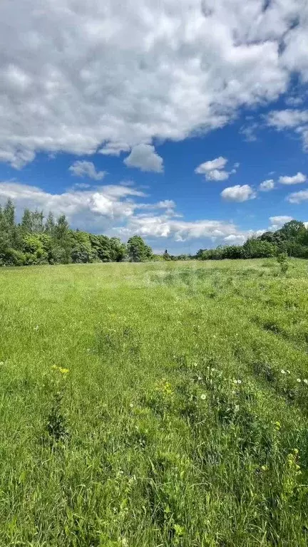 Участок 32,1 сот. (личное подсобное хозяйство (лпх)) - Фото 1