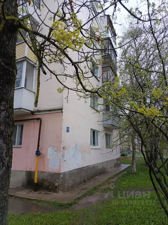 2-к кв. Новгородская область, Великий Новгород ул. Павла Левитта, 15 ... - Фото 1
