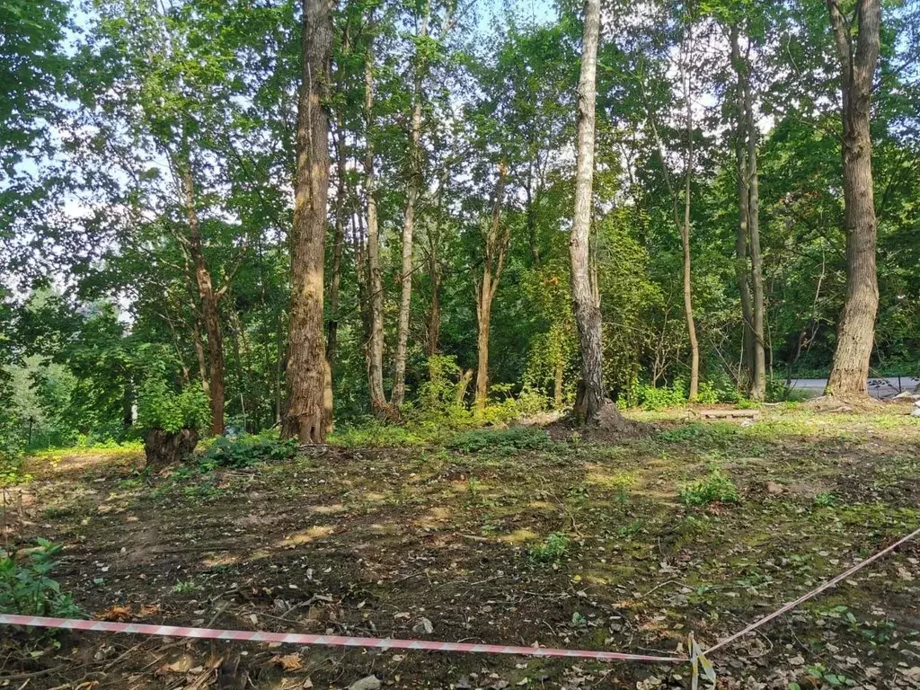Участок в Ленинградская область, Всеволожский район, Токсовское ... - Фото 2