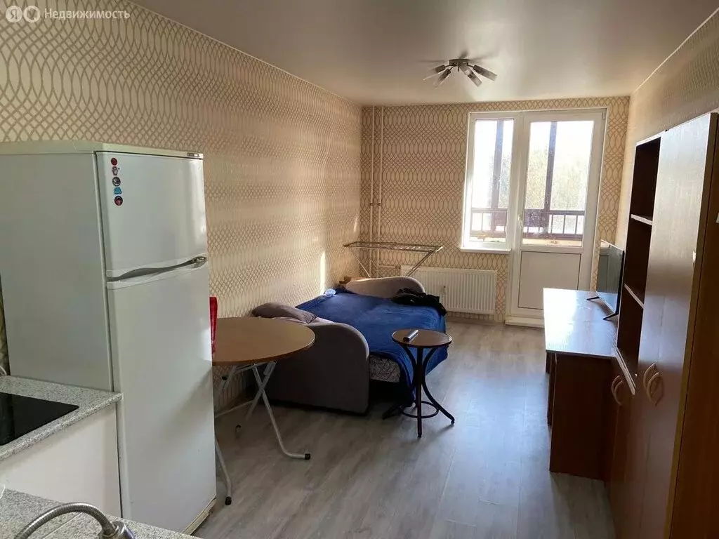 Квартира-студия: Ломоносов, Михайловская улица, 5 (22.8 м) - Фото 0