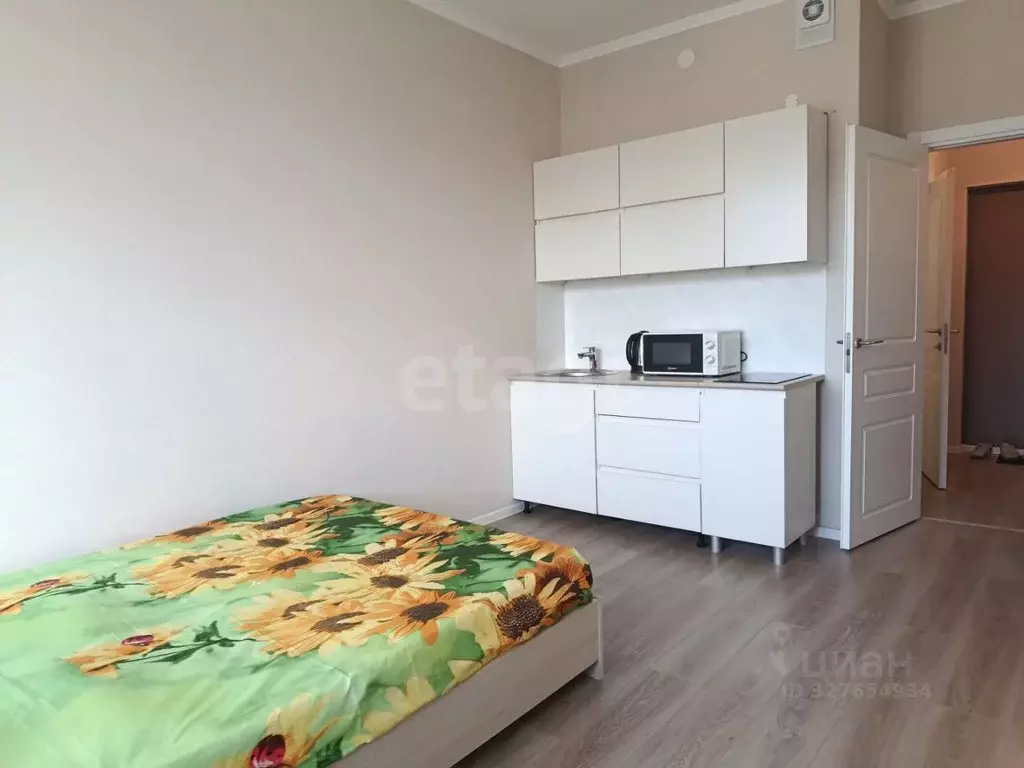 Студия Ленинградская область, Всеволожский район, Заневское городское ... - Фото 1