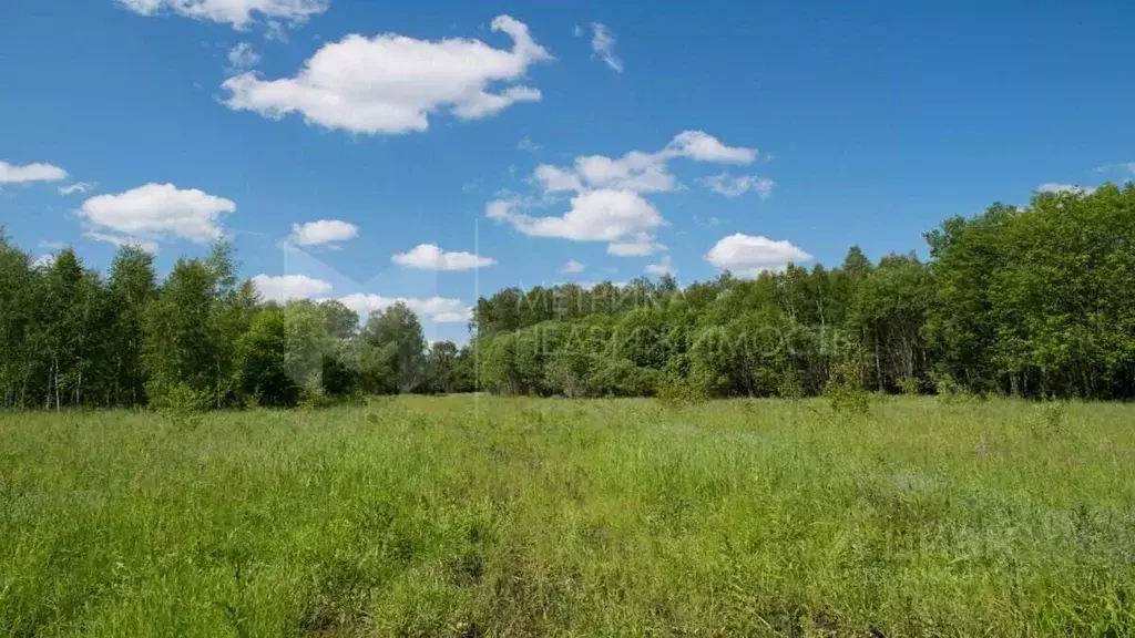 Участок в Тюменская область, Тюмень Уральская ул., 17 (10.06 сот.) - Фото 0