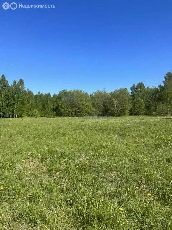 Участок в Нижегородская область, Кстовский муниципальный округ, село ... - Фото 0