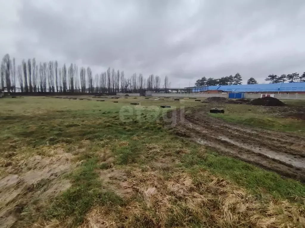 Склад в Адыгея, Майкоп Промышленная ул., 8Бстр2 (1747 м) - Фото 1