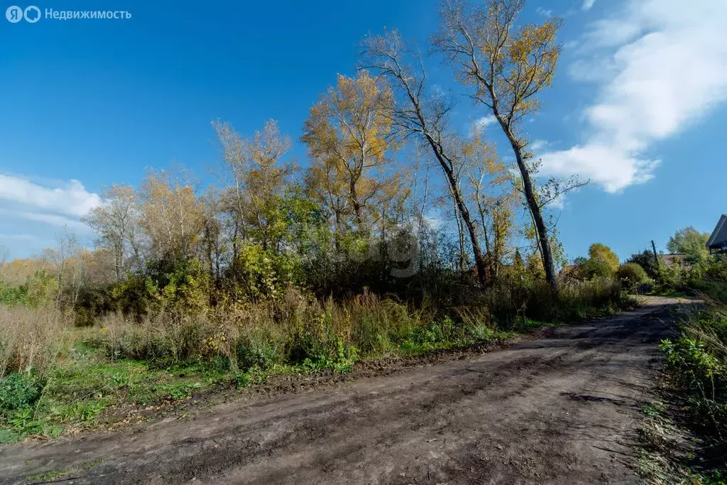 Участок в Белокуриха, Виноградная улица (20 м) - Фото 2