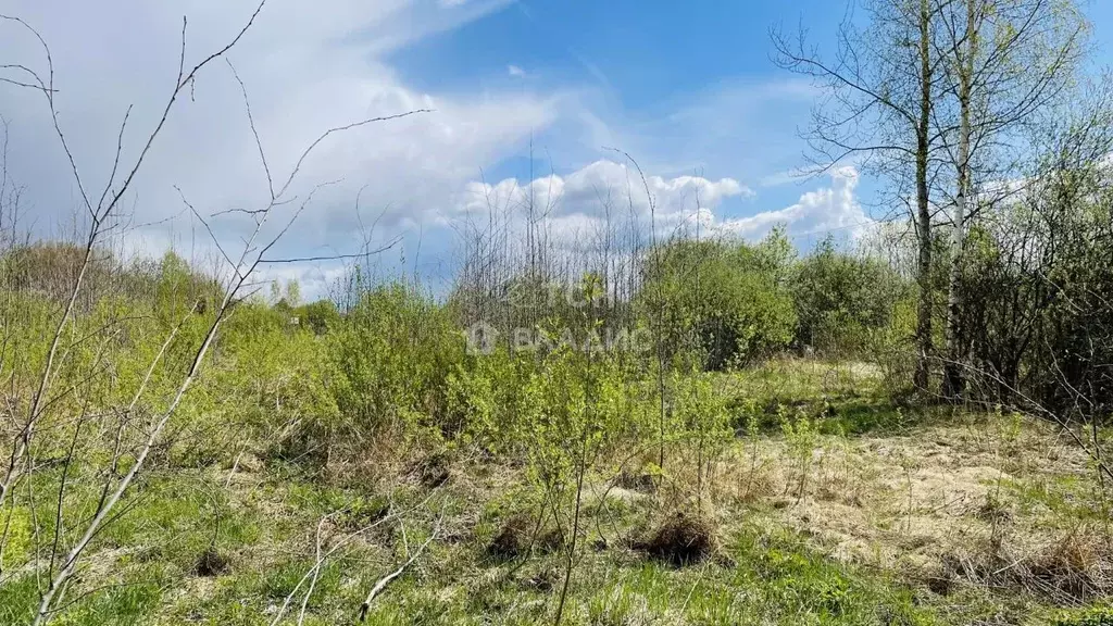 Участок в Московская область, Богородский городской округ, д. Ельня  ... - Фото 1