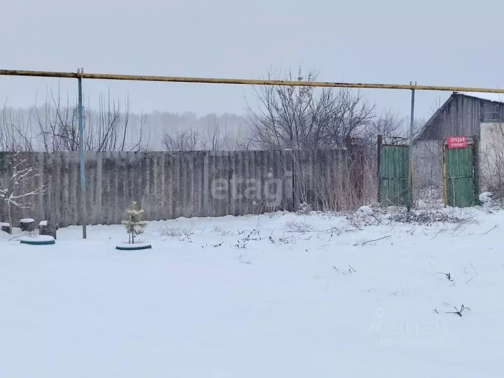 Участок в Белгородская область, Красногвардейский район, ... - Фото 2