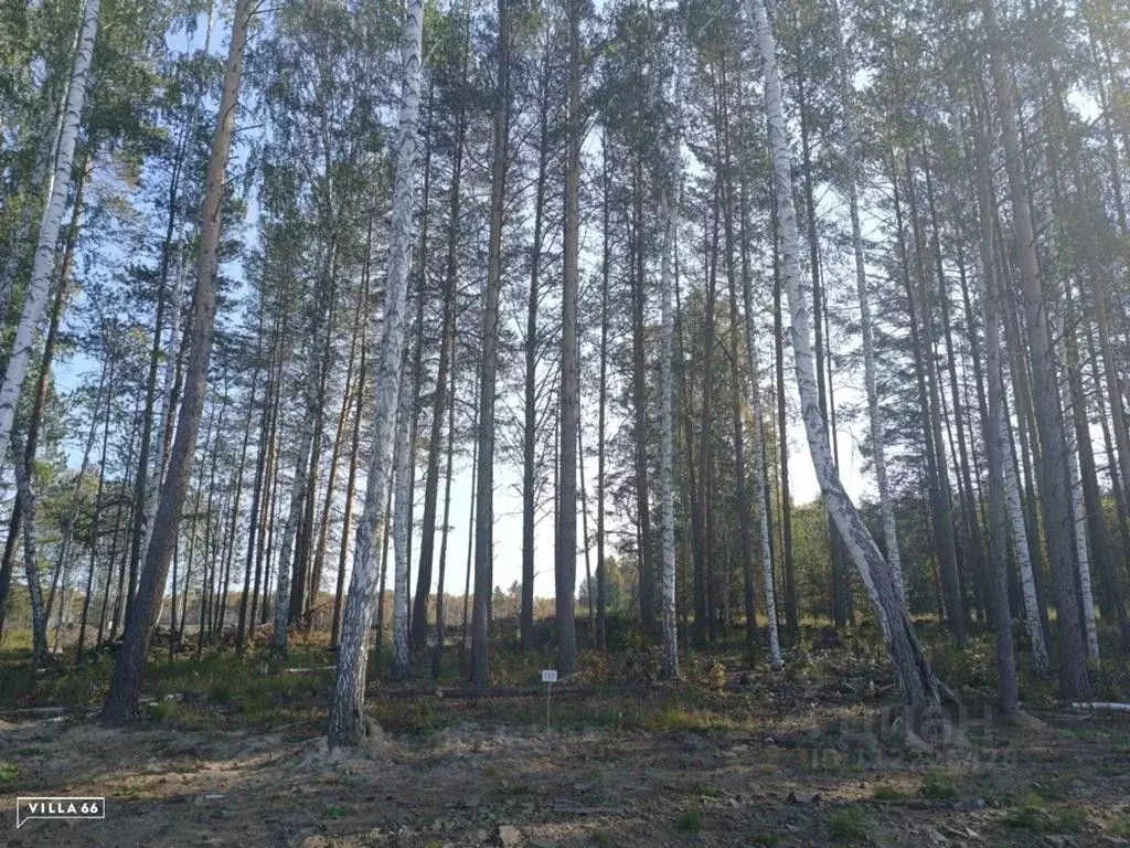 Участок в Свердловская область, Сысертский городской округ, пос. ... - Фото 0