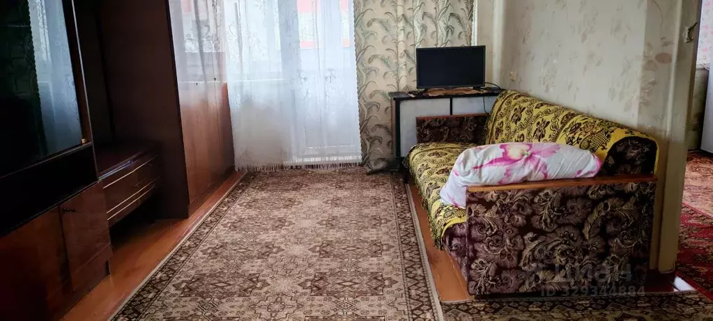 1-к кв. Алтайский край, Барнаул ул. Антона Петрова, 184 (31.0 м) - Фото 2