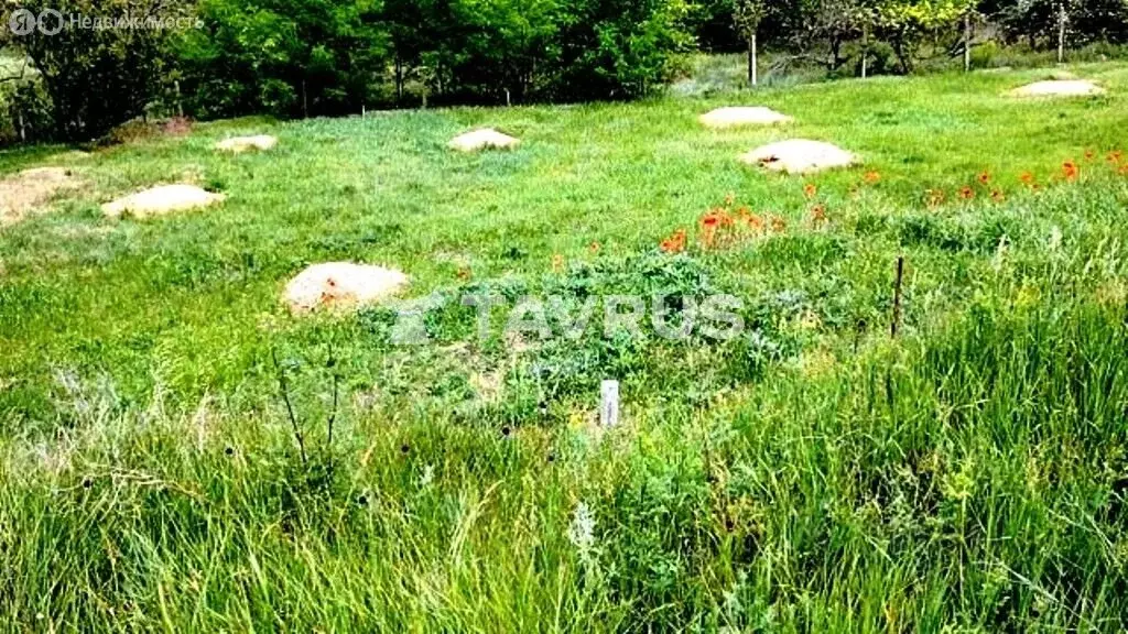 Участок в Трудовое, СНТ СТ Цветовод (6 м) - Фото 1