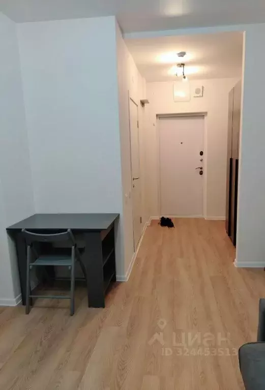 Студия Московская область, Домодедово городской округ, с. Ям ул. ... - Фото 2