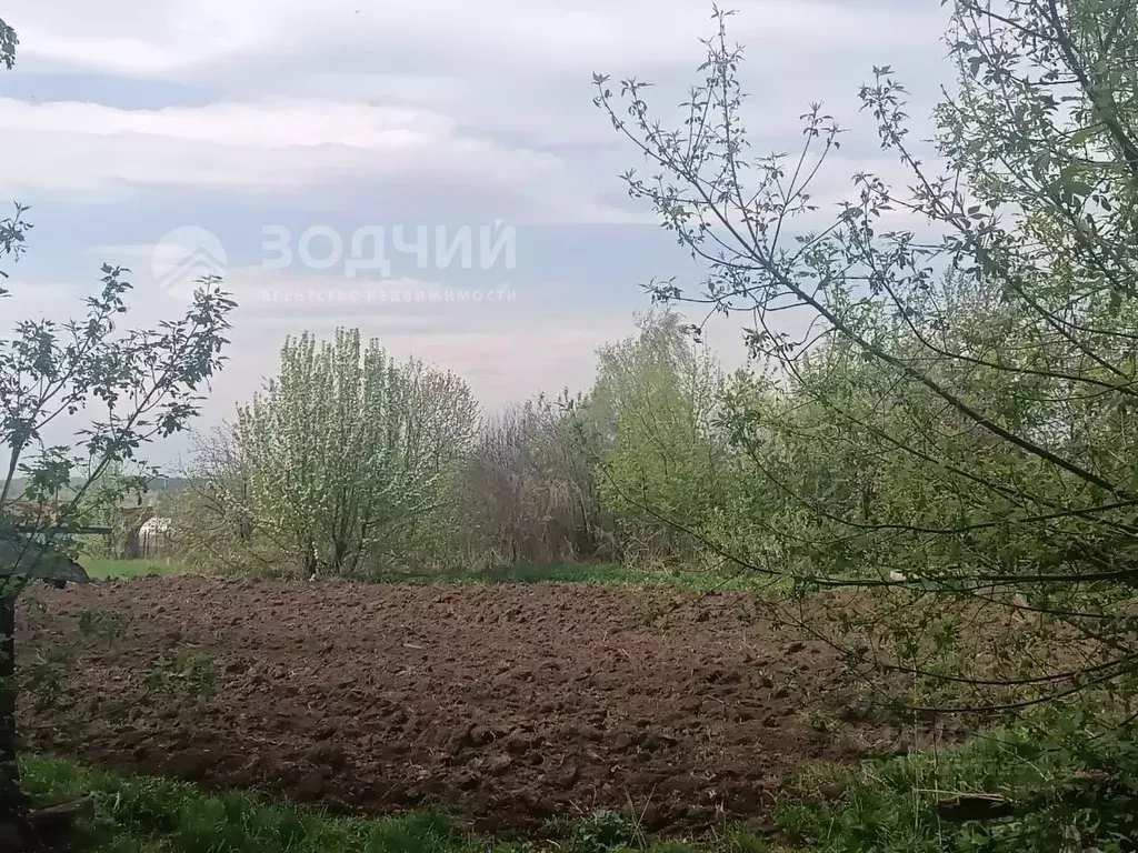 Участок в Чувашия, Цивильский муниципальный округ, д. Кисербоси ул. ... - Фото 0