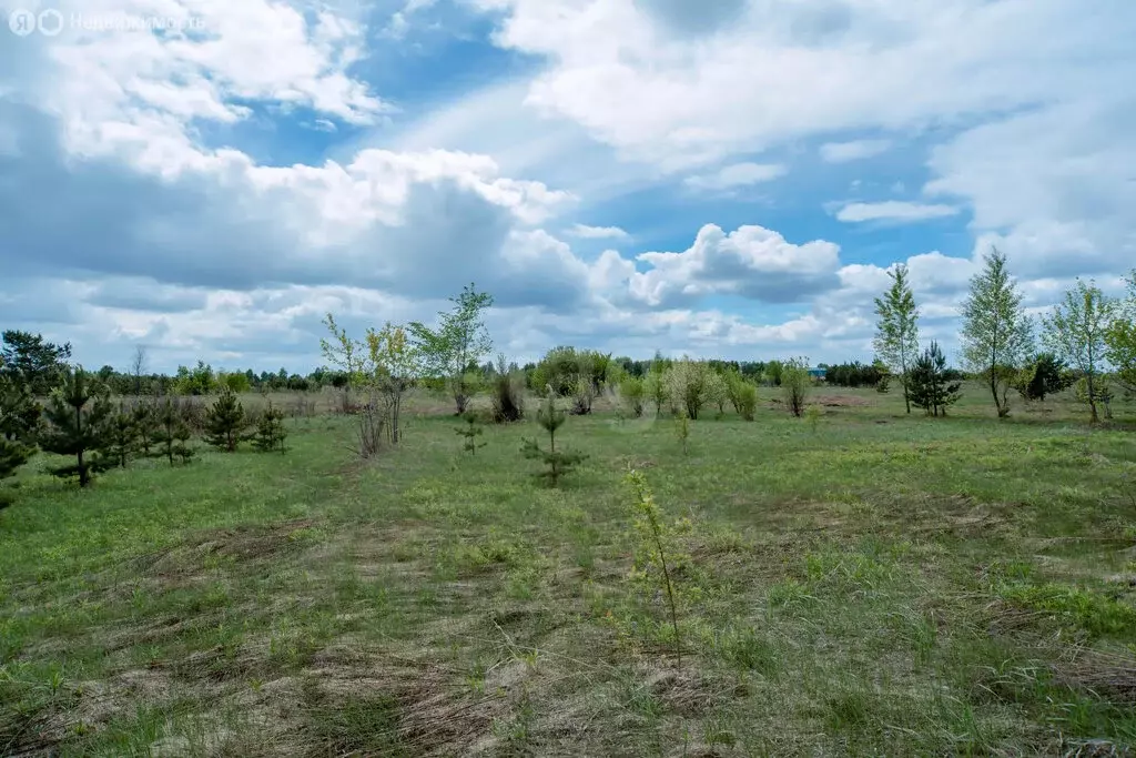 Участок в Бийский район, СДТ Зверовод, Вишневая улица (10 м) - Фото 2