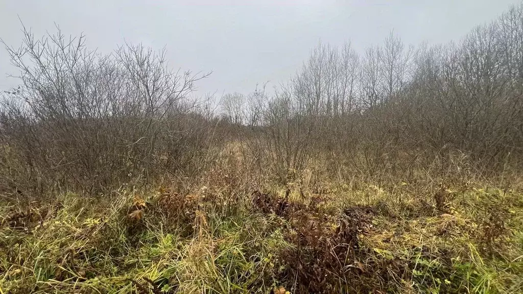 Участок в Московская область, Истра ул. Ленина, Река Истра (9.95 сот.) - Фото 2