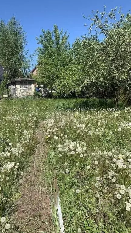 участок в калининградская область, калининград искра тсн, (5.6 сот.) - Фото 0