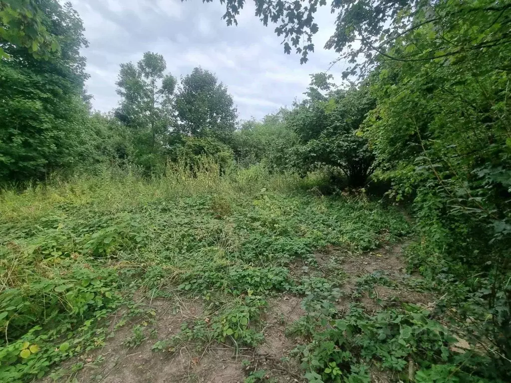 Участок в Кабардино-Балкария, Нальчик Восход СТ, 32 (9.4 сот.) - Фото 1