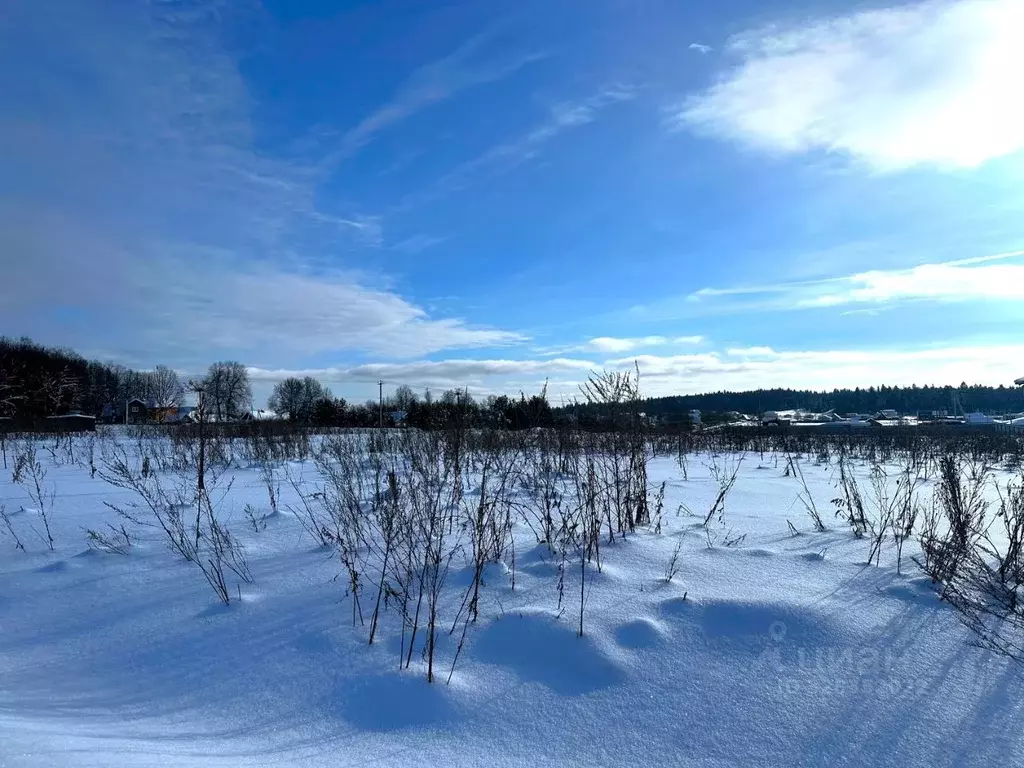 Участок в Московская область, Истра муниципальный округ, д. Алексино  ... - Фото 2