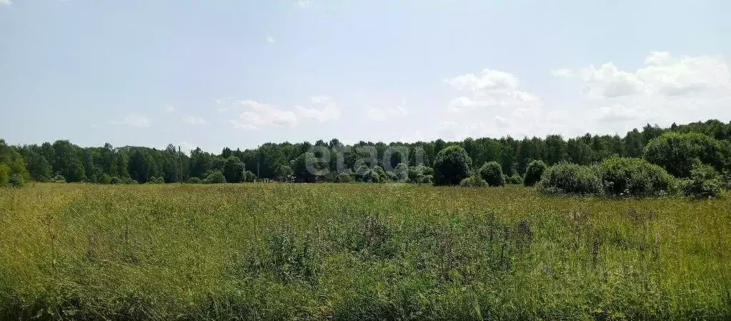 Участок в Калужская область, Медынский муниципальный округ, Адуево ... - Фото 1