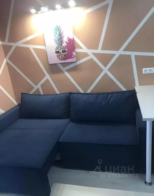 Студия Ленинградская область, Мурино Всеволожский район, просп. ... - Фото 2