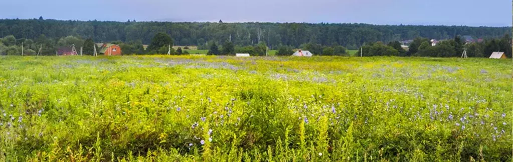 Участок в Тульская область, Ясногорский район, Иваньковское с/пос, ... - Фото 2