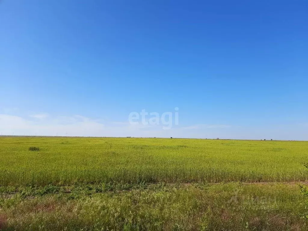 Участок в Крым, Черноморский район, с. Окуневка (860.0 сот.), Купить  земельный участок Окуневка, Черноморский район, ID объекта - 20005770314