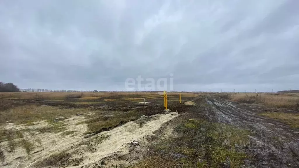 Участок в Тамбовская область, Тамбовский муниципальный округ, д. ... - Фото 1