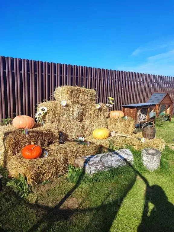 Дом в Московская область, Ступино городской округ, Шелково Парк кп ул. ... - Фото 2