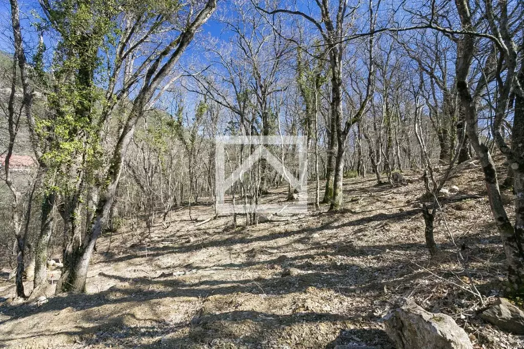 Участок в Крым, Ялта муниципальный округ, Виноградное пгт ул. Красина ... - Фото 2