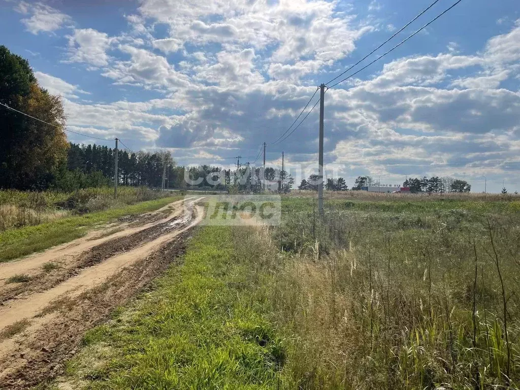 Участок в Тюменская область, Тюменский район, с. Борки  (12.9 сот.) - Фото 1