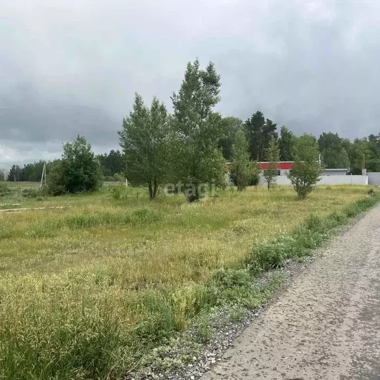 Участок в Тюменская область, Тюменский район, с. Салаирка  (10.0 сот.) - Фото 1