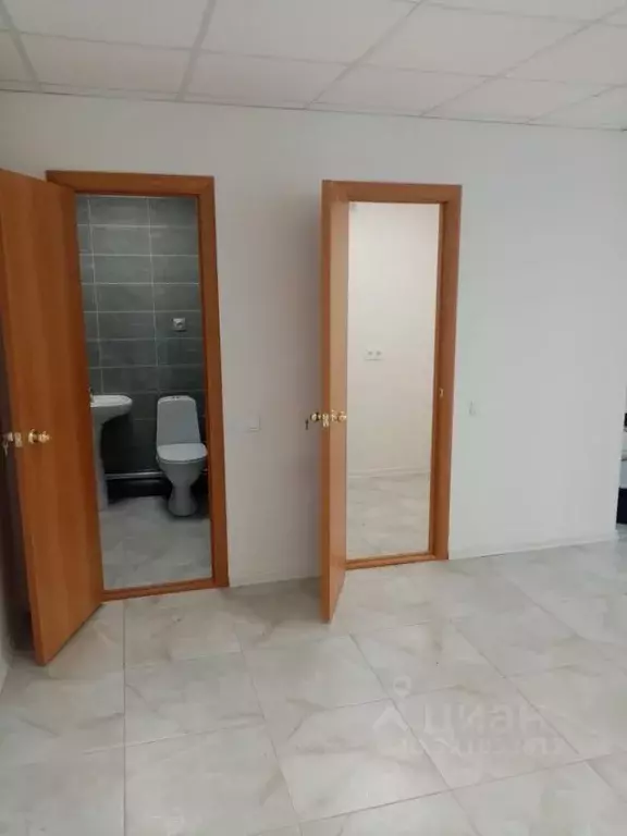 Торговая площадь в Саратовская область, Саратов ул. Имени К.П. ... - Фото 0