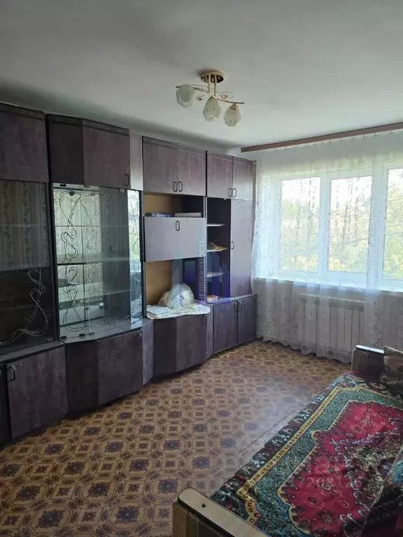 1-к кв. Воронежская область, с. Новая Усмань ул. Промышленная, 8 (27.5 ... - Фото 1