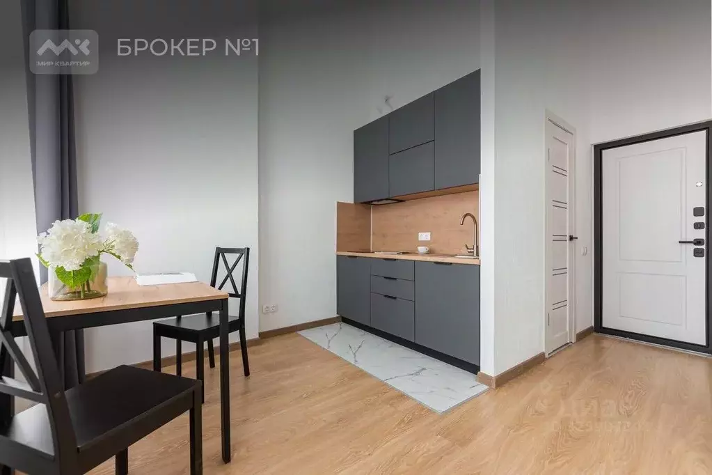 Студия Санкт-Петербург Синопская наб., 72 (30.0 м) - Фото 2