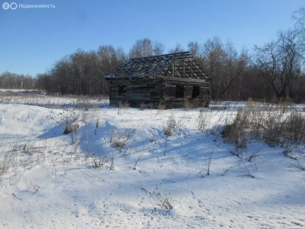 Участок в Челябинская область, Красноармейский муниципальный округ, ... - Фото 2
