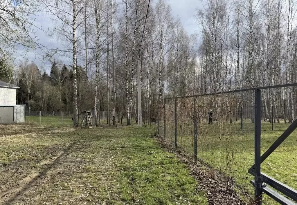 Участок в Московская область, Рузский муниципальный округ, д. Ельники, ... - Фото 1