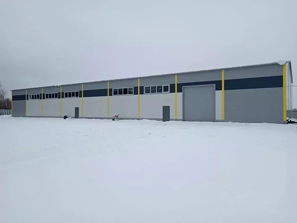 Помещение свободного назначения в Московская область, Домодедово ... - Фото 1