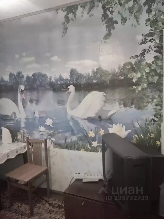 Комната Тульская область, Тула пос. Косая Гора, ул. Шевченко - Фото 2