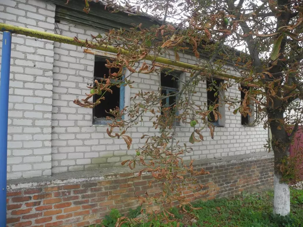 Производственное помещение в Белгородская область, Поселок Чернянка ... - Фото 1