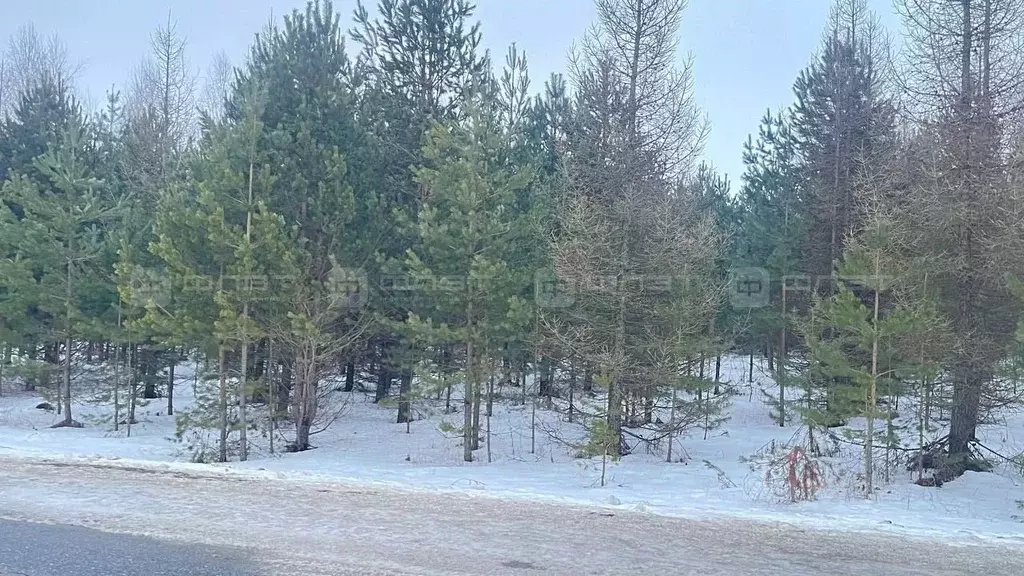 Участок в Татарстан, Высокогорский район, с. Альдермыш ул. Хабибуллина ... - Фото 1