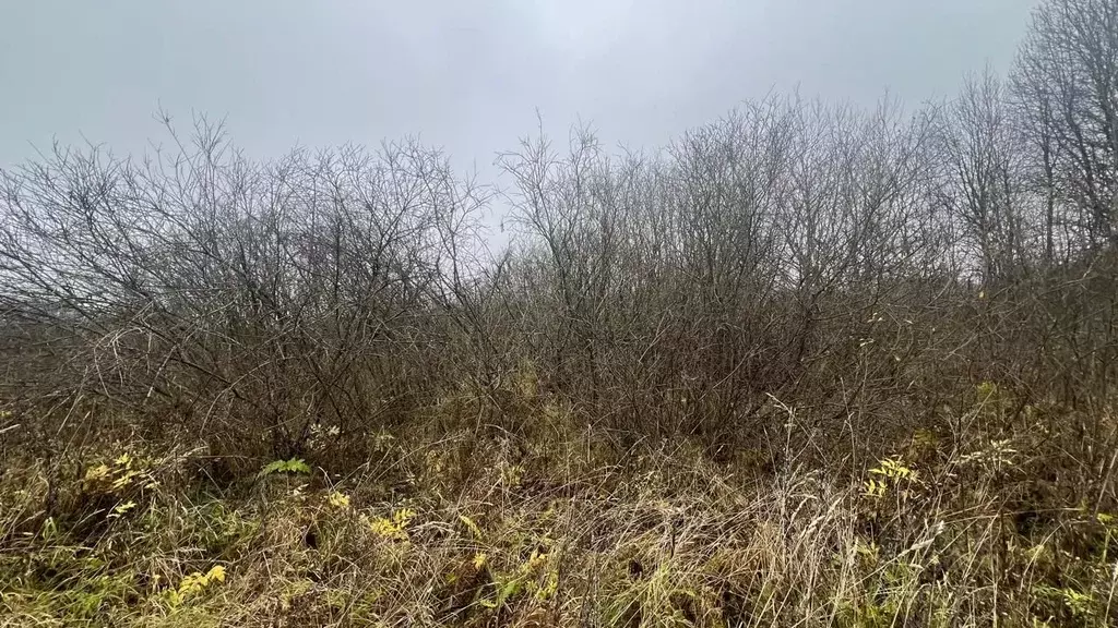 Участок в Московская область, Истра ул. Ленина, Река Истра (10.11 ... - Фото 1