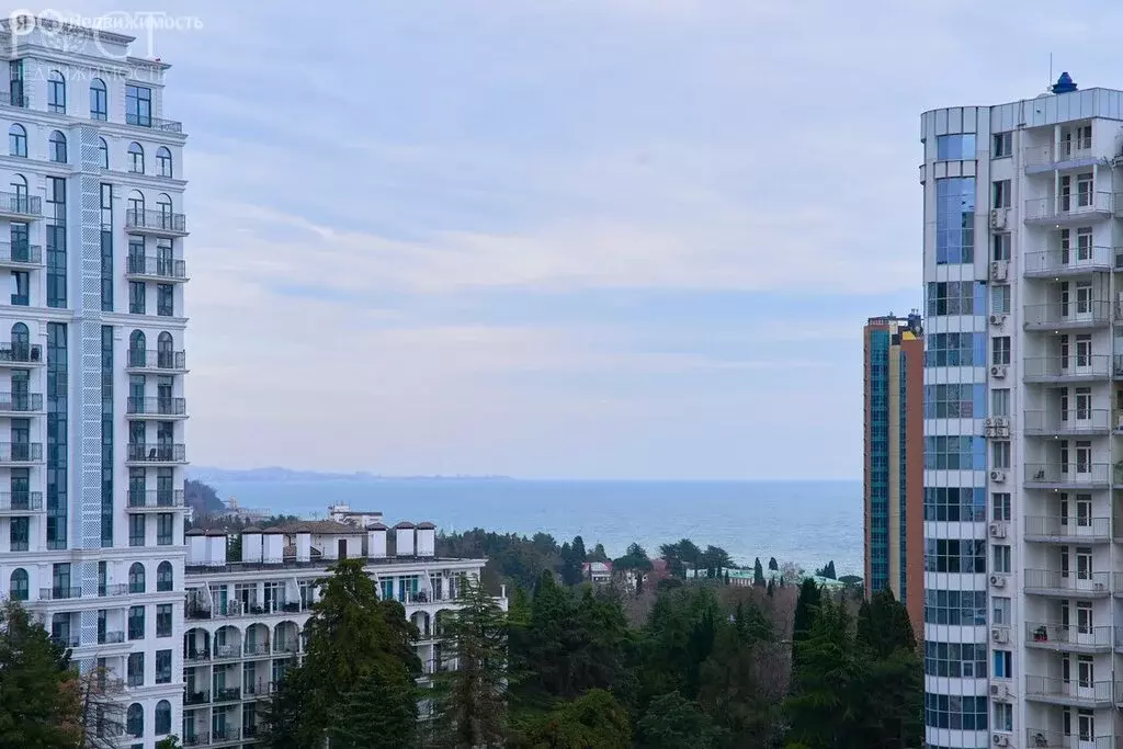 1-комнатная квартира: Сочи, микрорайон Светлана, Депутатская улица, 10 ... - Фото 2