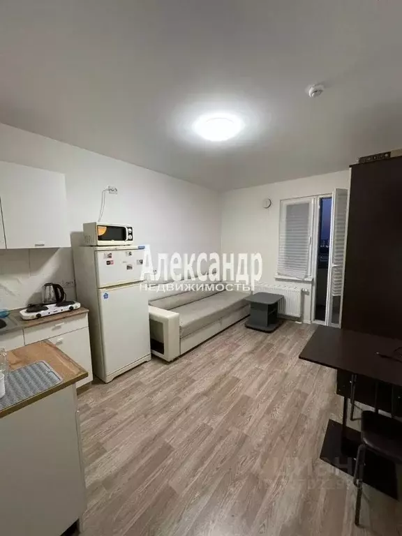 Студия Санкт-Петербург наб. Реки Каменки, 23 (20.0 м) - Фото 2