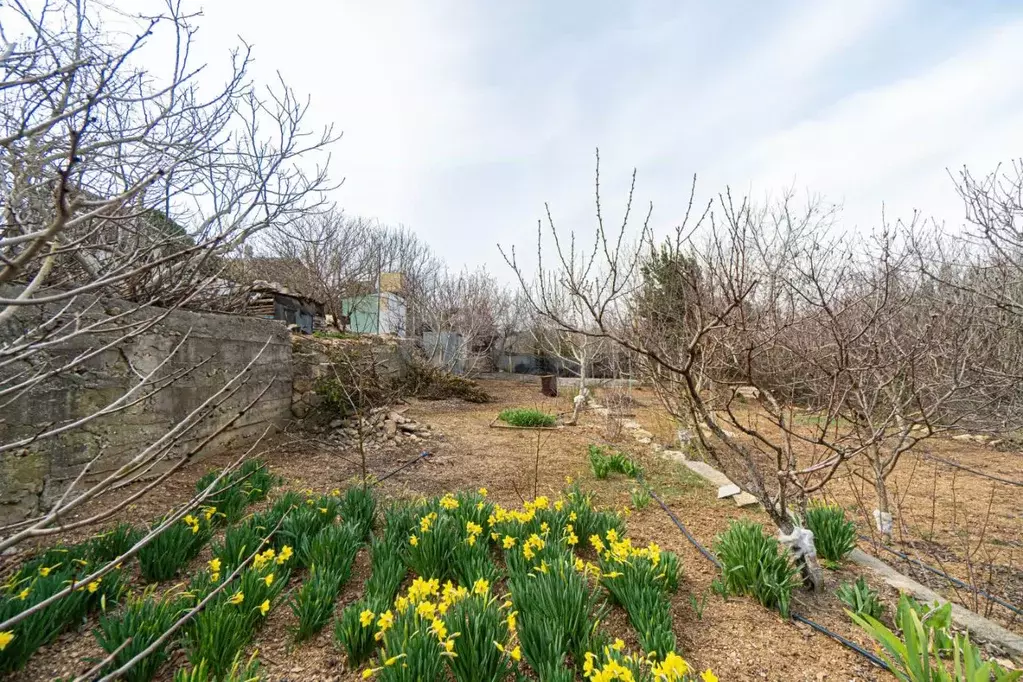 Участок в Севастополь Маяк-1 садовое товарищество, ул. Фруктовая (6.4 ... - Фото 2