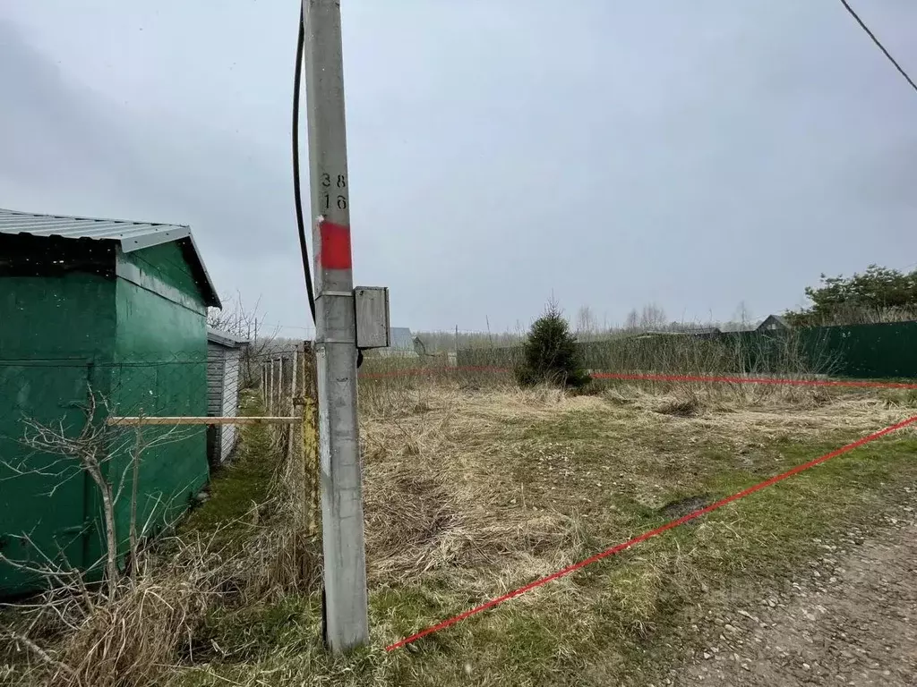 Участок в Московская область, Коломна городской округ, д. Новоселки, ... - Фото 2