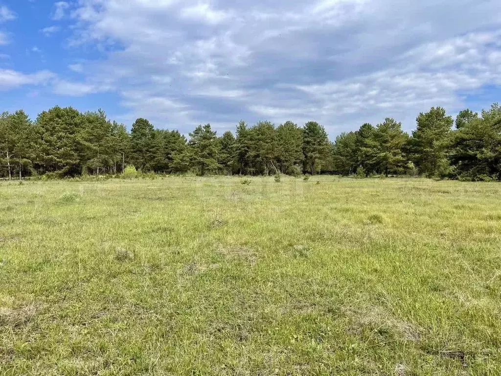 Участок в Калужская область, Дзержинский муниципальный округ, Дворцы ... - Фото 2