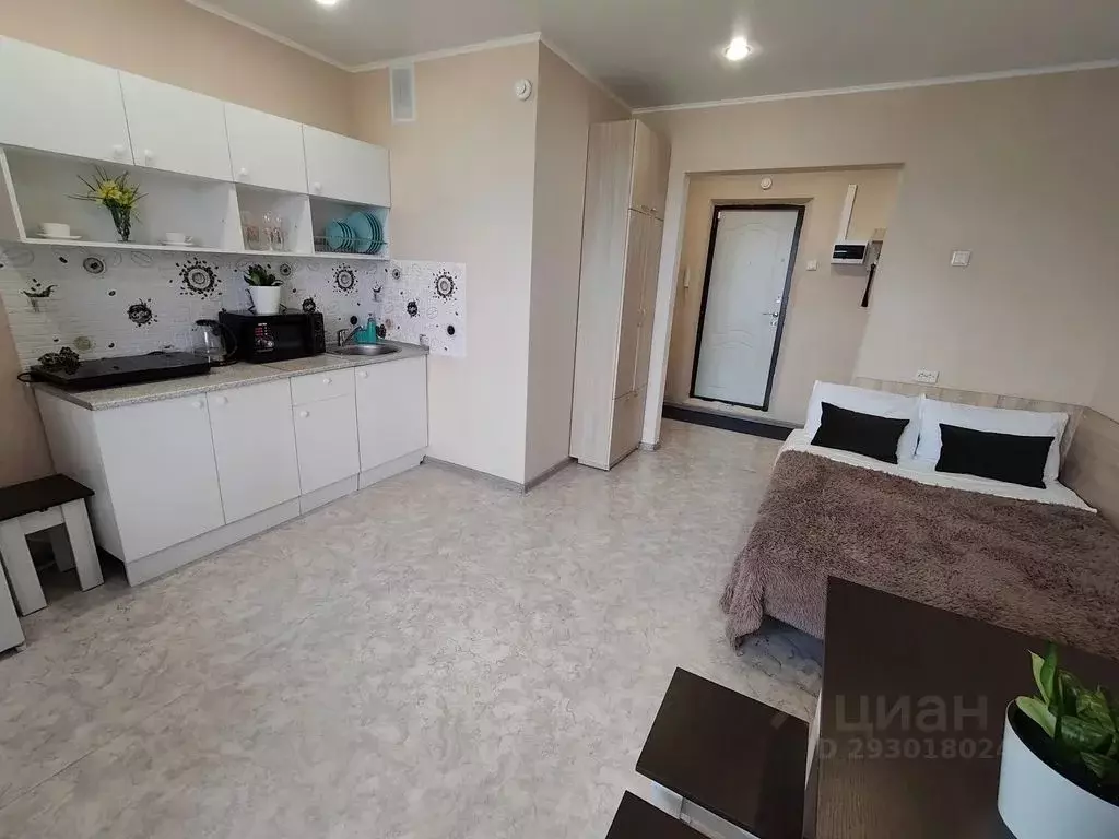 Студия Челябинская область, Миасс бул. И.И. Седова, 15 (25.0 м) - Фото 2