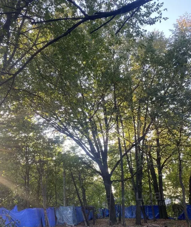Участок, 10.1 сот., 0 - Фото 0