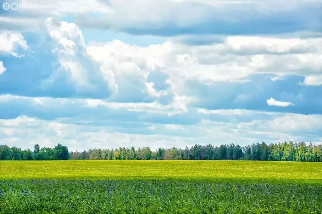 Участок в Тюменский район, село Кулига, улица Даниила Ташланова (575 ... - Фото 1
